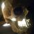 Jacy Lund's profile image