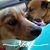 Chrissie Loiacono's profile image