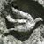 Jane Reiter's profile image