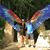 Nancy Bonesteel Kennedy's profile image