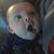 Nicole Roark's profile image