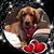 Janet Morton's profile image