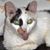 Kevin Pyle's profile image