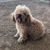 Jose Luis Davila Armenta's profile image