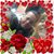 Humberto Granados's profile image