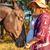 Valerie Mumm DeCarlo's profile image