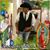 Jose Cachetes Castillo G's profile image