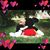 Melissa Stavroplos-kokali's profile image