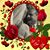 Kimberly Jauch's profile image