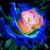 Diane Fox's profile image