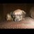 Becky Holdridge's profile image