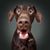 Leona Ebert's profile image