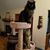 Jean A Mixon's profile image