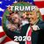 Brenda Gilson's profile image