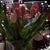 Lynn Letts's profile image