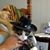 Peggy Clevenger's profile image