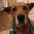 Susan Beevers's profile image