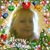 Lisa Marie Poland's profile image
