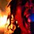 Steven Seibold's profile image