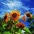 Bonnie Ledlow's profile image