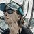 Elizabeth Reynolds Teeter's profile image