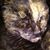 Wendy Woernle Keller's profile image