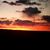 Munoz Vickye's profile image