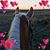 Lyssa Brooks's profile image