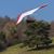 Trevisani Giuseppe's profile image