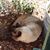 Jodi Gilpin's profile image