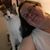 Pam Warren's profile image