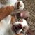 Roxanne Eklund Visser's profile image