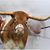 Pat Leduc's profile image