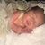 Sabrina Renee Nazario's profile image