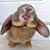 Deana Daniels's profile image