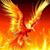 Wicho Ramirez's profile image