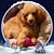Gayle Baugher's profile image