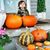 Shelbyand Jessica Tapp's profile image