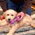 Linda Marshall's profile image