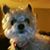 Karen Sandbakken's profile image