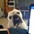 Rhonda Dunn's profile image