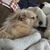 Cindy King's profile image