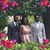 Shauntae Thompson- Williams's profile image