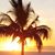 AnnaLee Baglio's profile image