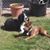 Toni Kessinger's profile image