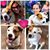 Coco Ann's profile image