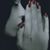 Gloria Ramirez's profile image