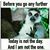 Kate Sawyer's profile image