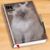 Shirley Walsh Allen's profile image