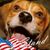 Sophia Latham's profile image